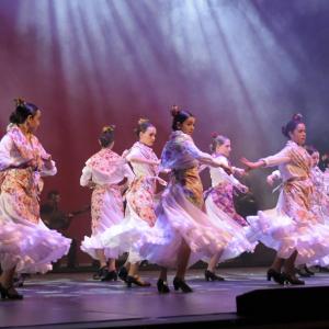 Fotografía de Talleres Danza Española (galería 2) - Conservatorio de Danza